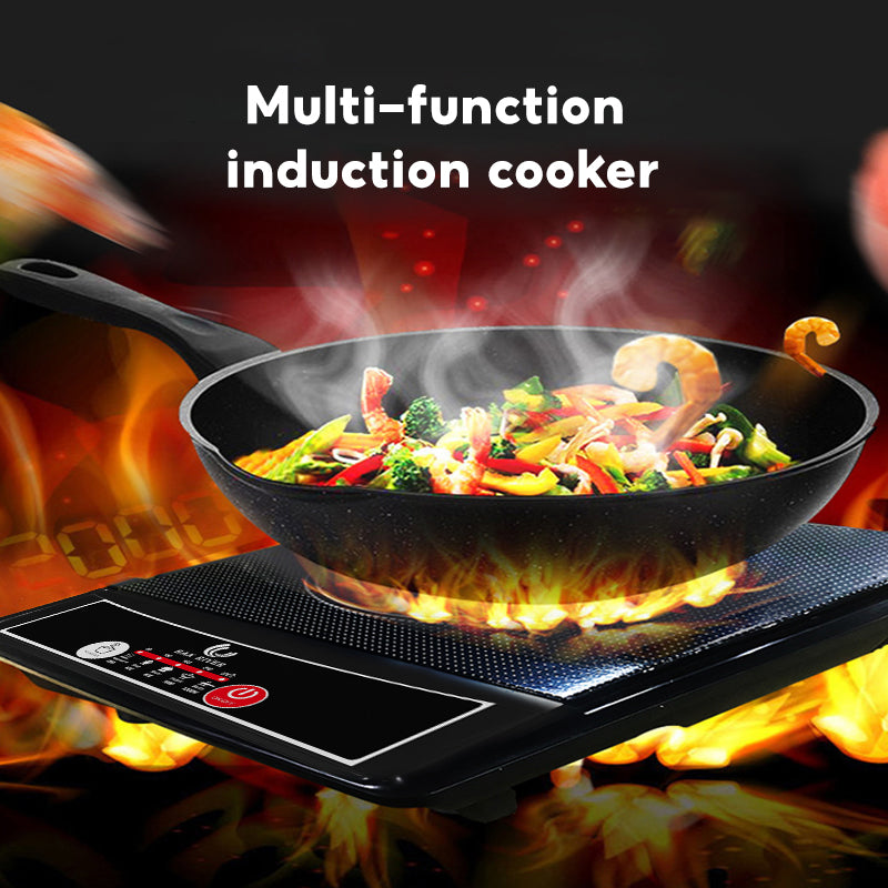 Han River Smart Induction Cooker HRIC01BK