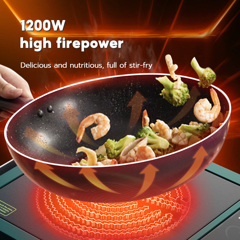 Han River Induction Cooker HRDTL01GN