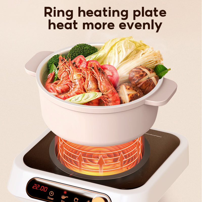 Han River Induction Cooker HRDTL02